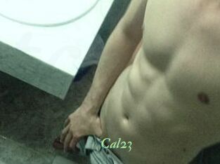 Cal23