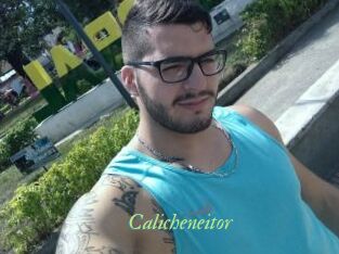 Calicheneitor