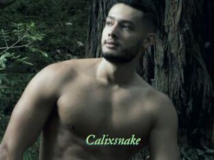 Calixsnake
