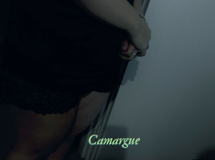 Camargue