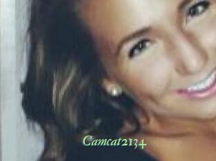 Camcat2134