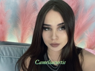 Cameliacurtis
