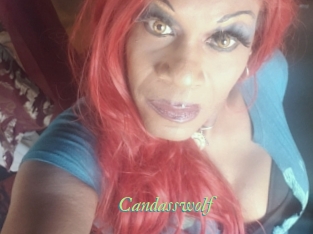 candasswolf Tel Coquin