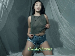 Candicebunny