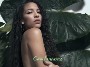 Canelasuarez