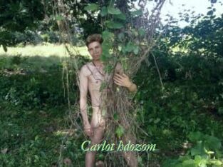 Carlot_hdozom