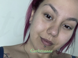 carlottaaaa Tel Coquin