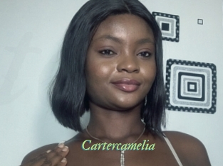 Cartercamelia