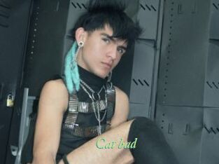 Cat_bad