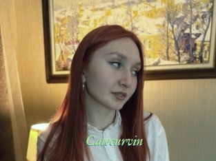Catecurvin
