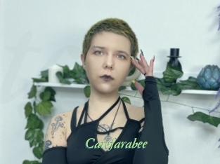 Catefarabee
