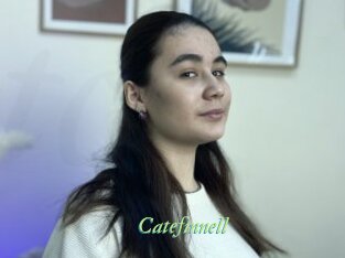Catefinnell