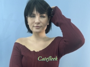 Catefleek