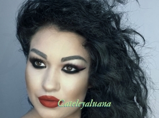 Cateleyaluana