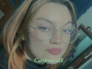 Cattleya0018