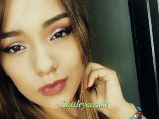 Cattleyacandy