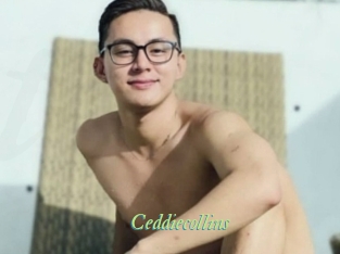 ceddiecollins Tel Coquin
