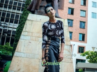 cenobite Tel Coquin