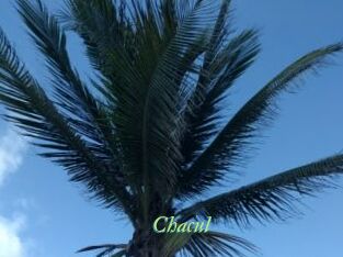 Chacul