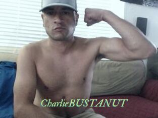 CharlieBUSTANUT