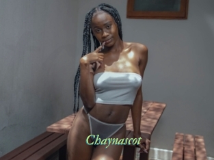 Chaynascot