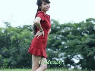Cindycindy