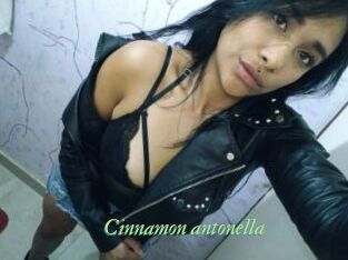 Cinnamon_antonella