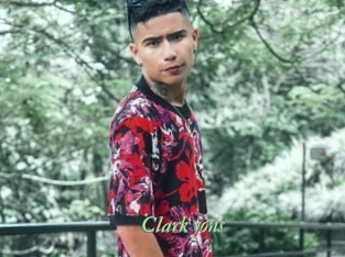 clark_yons Tel Coquin