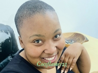 Cocoflames23