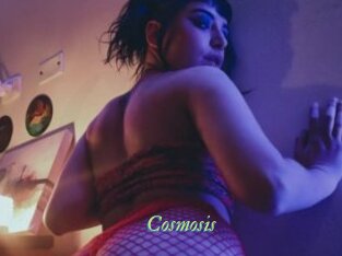Cosmosis