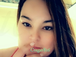 Cougar816