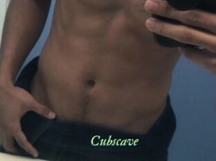 Cubscave