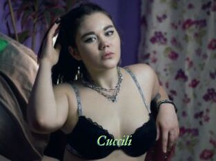 Cuccili
