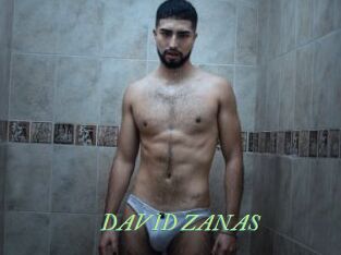 DAVID_ZANAS