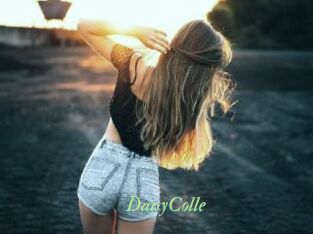 DaisyColle