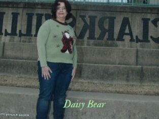 Daisy_Bear
