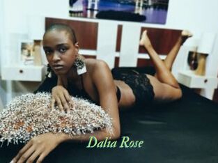 Dalia_Rose