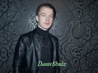 DanteShulz