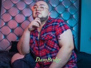 DanyBridge