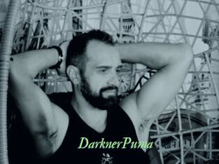 DarknerPuma