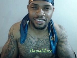 David_Maze
