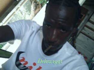 Delow1991