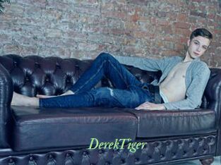 DerekTiger