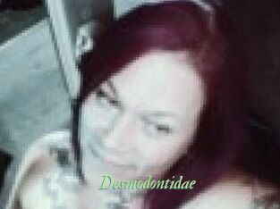 Desmodontidae