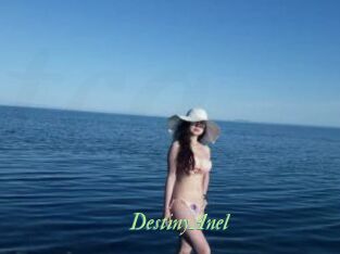DestinyAnel