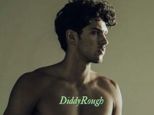 DiddyRough