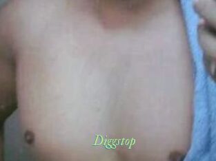 Diggstop