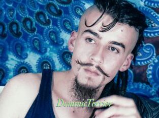 DominicTerrier