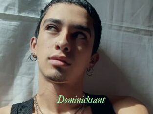 Dominicksant