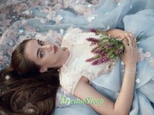 DreamSleep